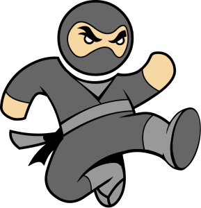 ninja-body