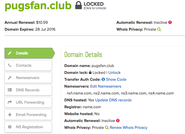 domain details screenshot