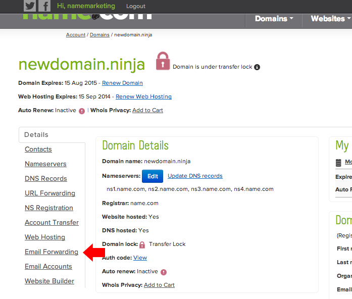 Find the email forwarding tab in your domain details and click on it.
