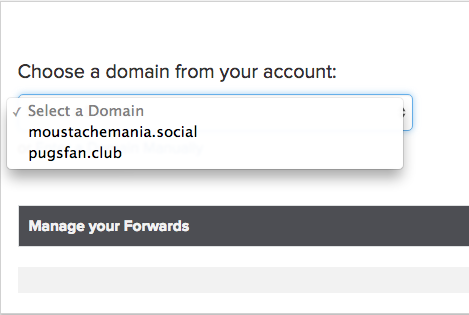 select a forwarding domain screenshot