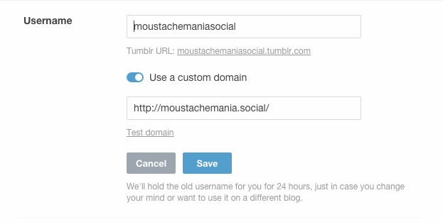 Tumblr Use custom domain screenshot