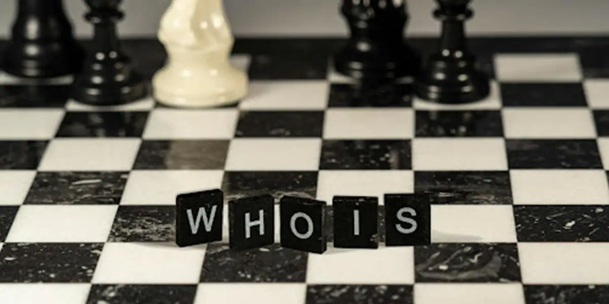 Media: What Is WHOIS Lookup &#038; What Is WHOIS Used For?